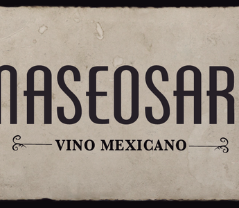 Cata de la semana. Maseosare Carignan 2014